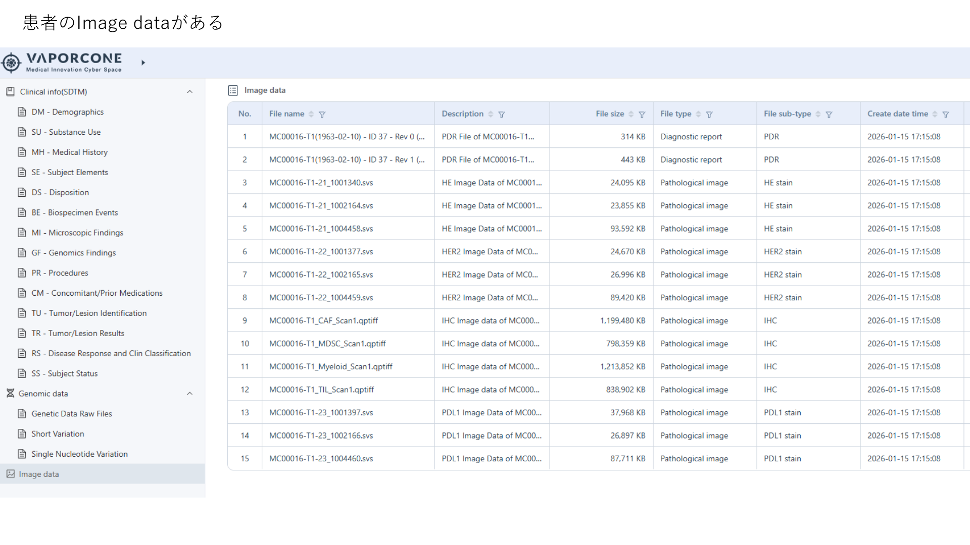 VAPORCONE image data list showing diagnostic reports and pathology image files